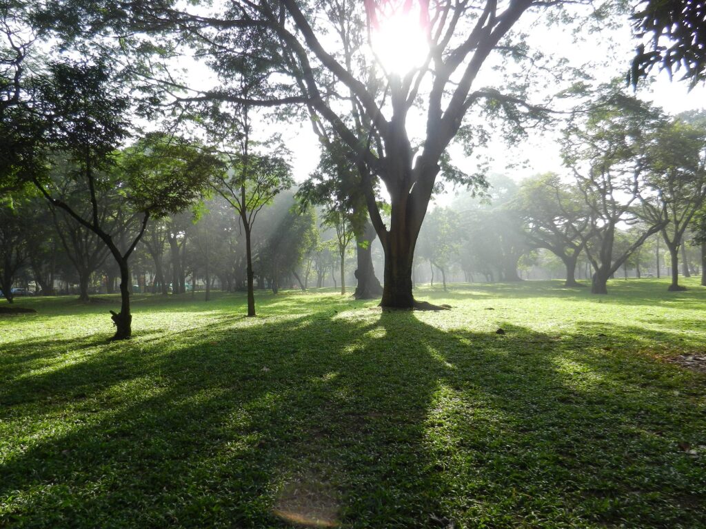 Best Place in Bangalore